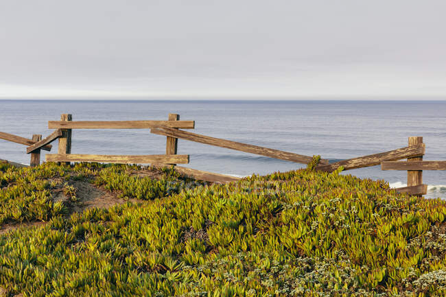 Cobertura do solo da planta de gelo por cerca de madeira velha, oceano na distância — Fotografia de Stock