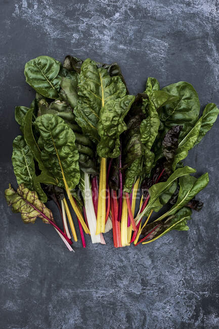 High angle close up of a bunch of freshly picked Swiss rainbow chard on grey background. — Stock Photo