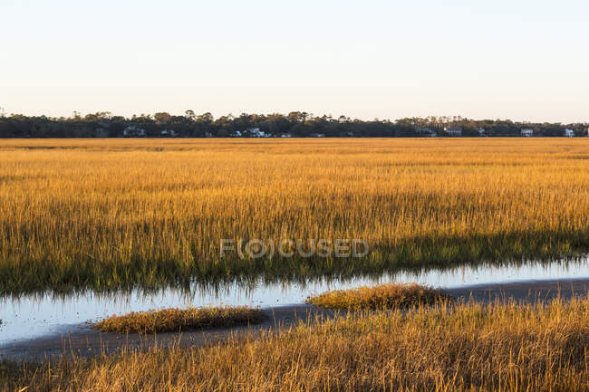 Blick über die Salzwiesen und das Wildtierreservat auf einer Küsteninsel. — Stockfoto