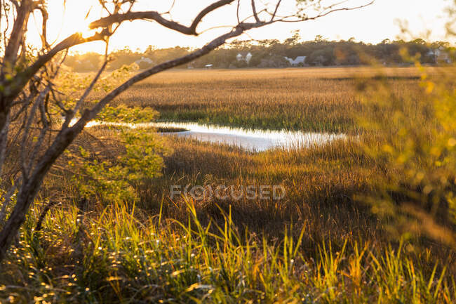 Blick über die Salzwiesen und das Wildtierreservat auf einer Küsteninsel. — Stockfoto