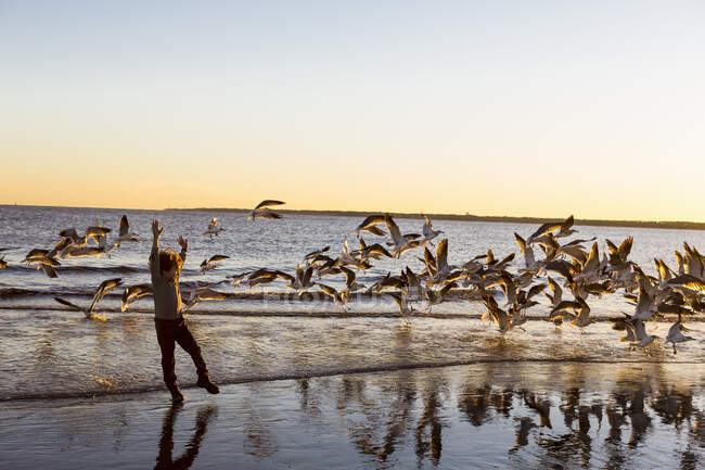 6 anos de idade menino e gaivotas, Ilha de São Simão, Geórgia — Fotografia de Stock