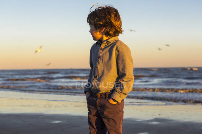 Garçon de 6 ans et goélands, île St. Simon, Géorgie — Photo de stock