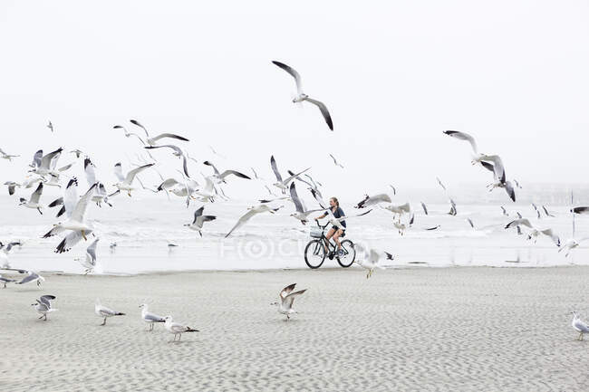 Teen menina ciclismo no arenoso praia pelo oceano, St. Simons Island, Geórgia — Fotografia de Stock