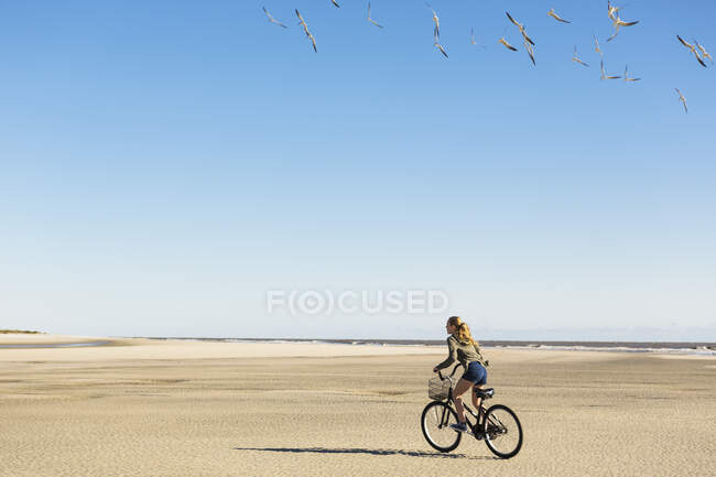 Teenage girl cycling on sand towards a flock of seagulls, St. Simon's Island, Georgia — Stock Photo