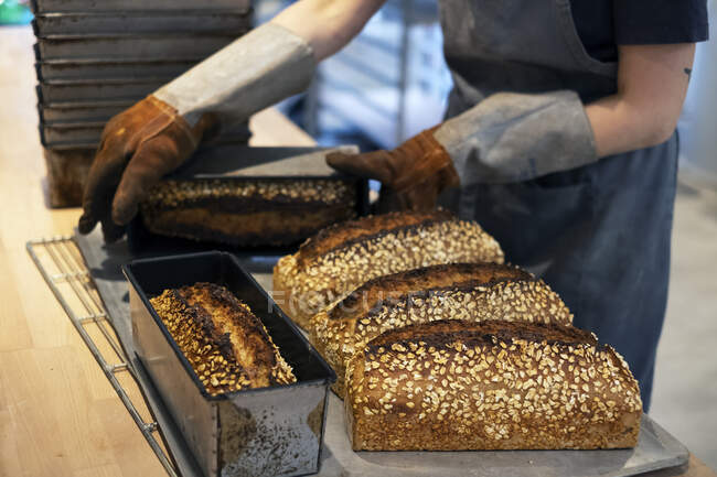 Gros plan de la personne portant des gants de four plaçant des pains fraîchement cuits sur un plateau dans une boulangerie artisanale . — Photo de stock