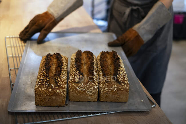 Close up of person holding tray with freshly baked seeded loaves of bread in an artisan bakery. — Stock Photo