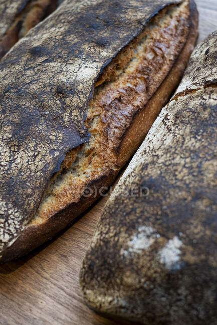 High angle close up of two freshly baked loaves of bread in an artisan bakery. — Stock Photo