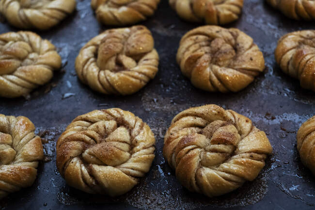 Hohe Nahaufnahme von Blech mit frisch gebackenen Zimtbrötchen in einer handwerklichen Bäckerei. — Stockfoto