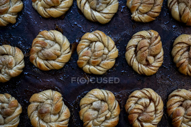 High angle close up of tray with freshly baked cinnamon buns in an artisan bakery. — Stock Photo