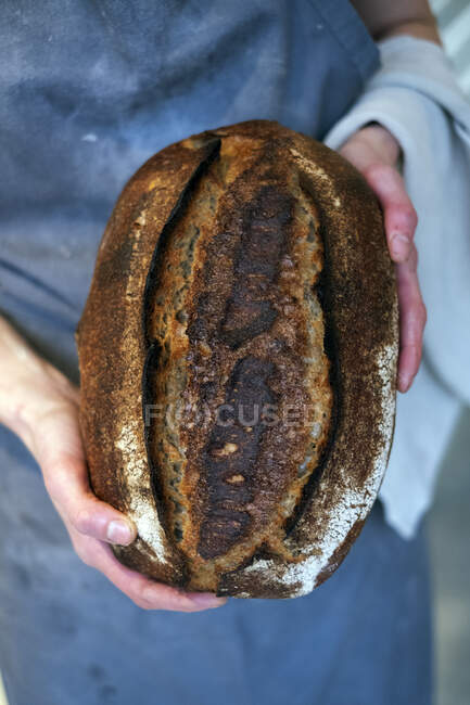 High angle close up of person holding freshly baked loaf of bread in an artisan bakery. — Stock Photo