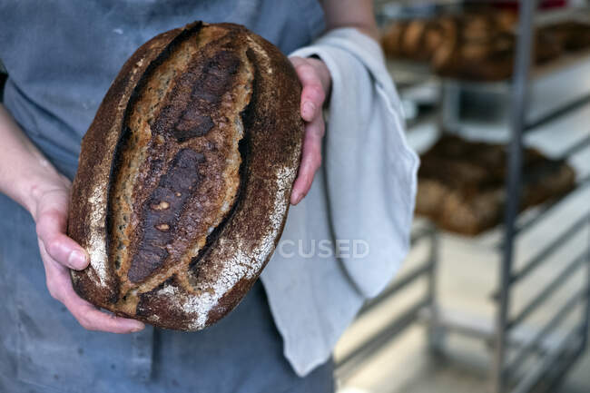 High angle close up of person holding freshly baked loaf of bread in an artisan bakery. — Stock Photo