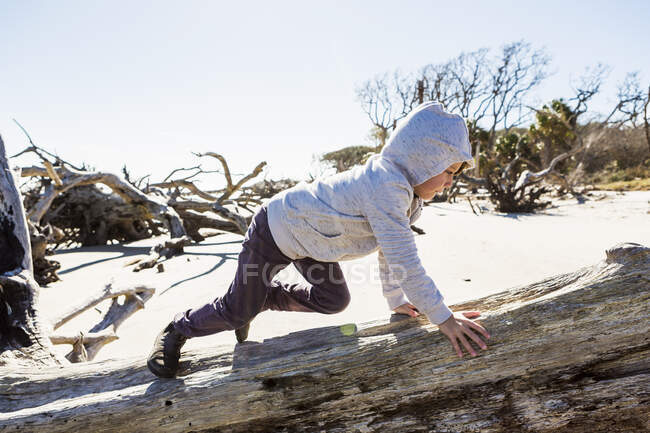 Ragazzo di sei anni su una spiaggia che si arrampica su un tronco d'albero di legno alla deriva — Foto stock