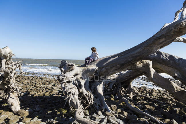 6 anni ragazzo arrampicata su alberi massicci sdraiato in acqua dell'oceano, Driftwood Beach, Jekyll Island, Georgia — Foto stock