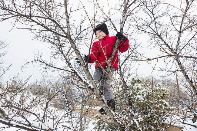 Niño de seis años con chaqueta roja trepando a un árbol en invierno - foto de stock