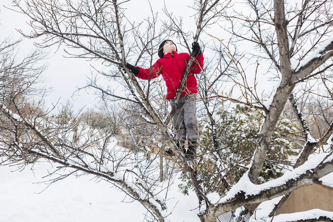 Six year old boy in a red jacket climbing a tree in winter — Stock Photo
