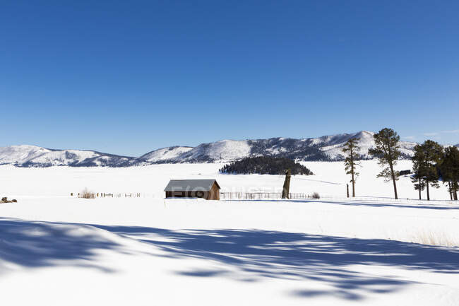 Escenario de un paisaje de nieve de invierno y pequeña cabaña . - foto de stock