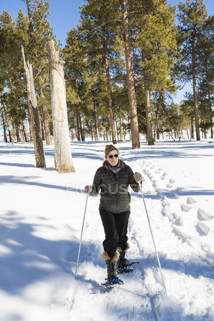 An adult woman in snow shoes in woodland holding ski poles — Stock Photo