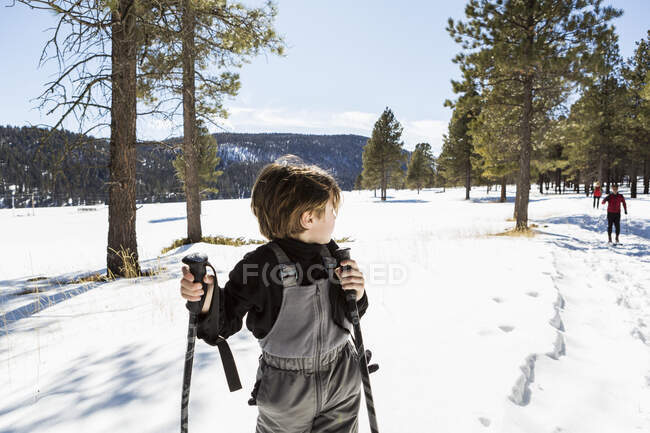 Bambino di sei anni sulle ciaspole tra gli alberi . — Foto stock