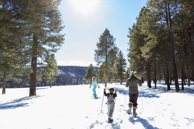 Rückansicht einer Mutter mit ihren Kindern, einem Mädchen und einem Jungen im Teenageralter, Schneeschuhwandern — Stockfoto