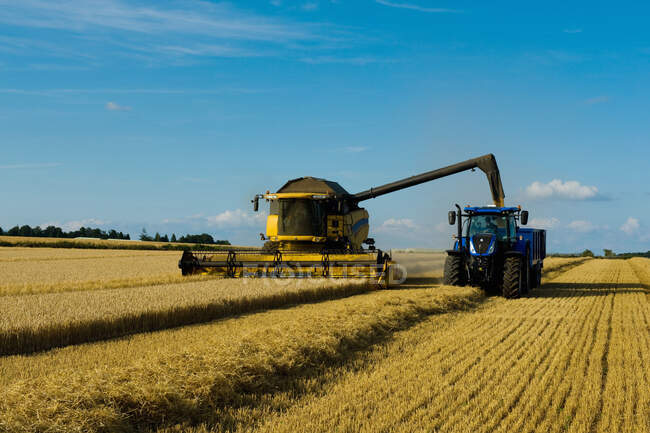 Combine harvester and tractor harvesting a crop in a field in summer. — Stock Photo