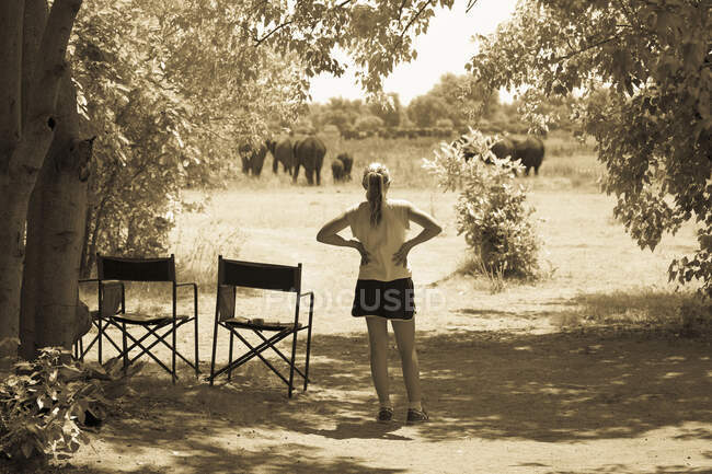 Menina de 12 anos olhando para elefantes, Reserva Moremi, Botsuana — Fotografia de Stock