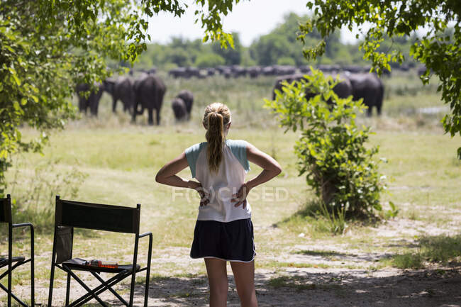 12-jähriges Mädchen beim Anblick von Elefanten, Moremi Reserve, Botswana — Stockfoto