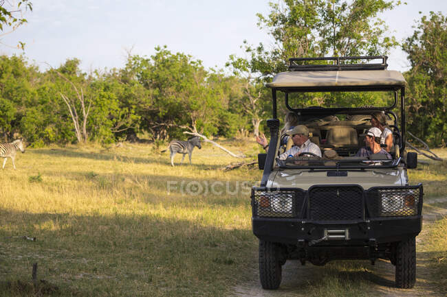 Famiglia e guida in un veicolo safari in una riserva di gioco a guardare le Zebre di Burchell — Foto stock