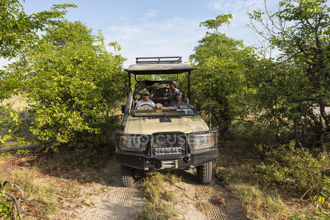 Veículo Safari com guia e passageiros em uma pista estreita através de arbustos. — Fotografia de Stock