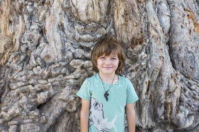 A five year old boy posing against trunk of a large Baobab tree — Stock Photo