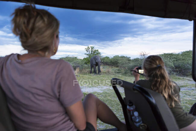 Two people in a safari vehicle, a woman and a teenage girl using a video camera taking footage of a mature elephant — Stock Photo