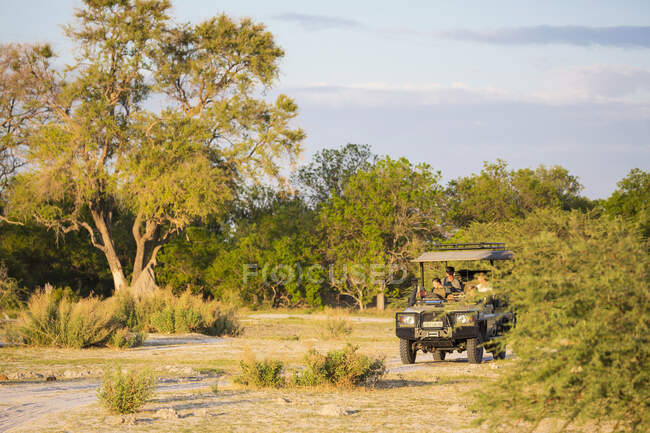 Una festa di turisti in una jeep safari ai margini del bosco — Foto stock