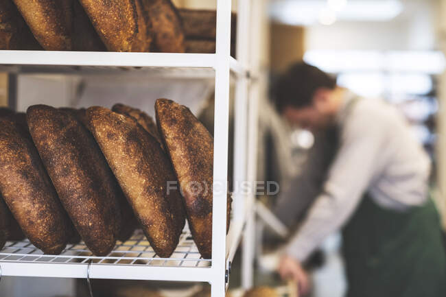 На задньому плані артезіанська пекарня виготовляє особливий хліб із тіста, скриню з хліба та пекар.. — стокове фото