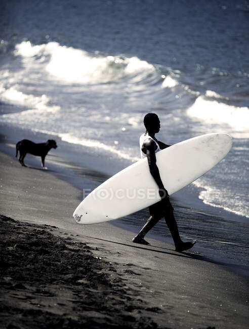 Vue latérale de l'homme sur la plage de sable portant planche de surf dans les vagues de l'océan, chien debout en arrière-plan. — Photo de stock