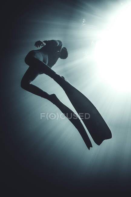 Niedrigwinkel-Unterwasseraufnahme des Tauchers in Neoprenanzug und Schwimmflossen, Sonnenlicht filtert von oben durch. — Stockfoto