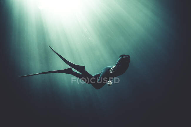 Underwater view of diver wearing wet suit and flippers, sunlight filtering through from above. — Stock Photo