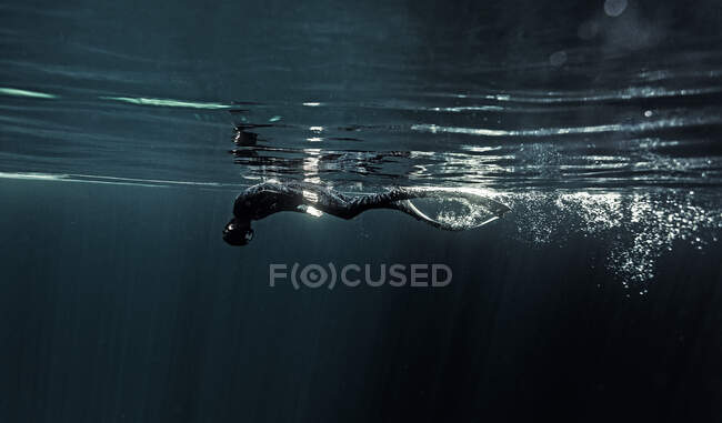 Unterwasser-Ansicht eines Tauchers mit Neoprenanzug und Schwimmflossen, der knapp unter der Wasseroberfläche taucht. — Stockfoto