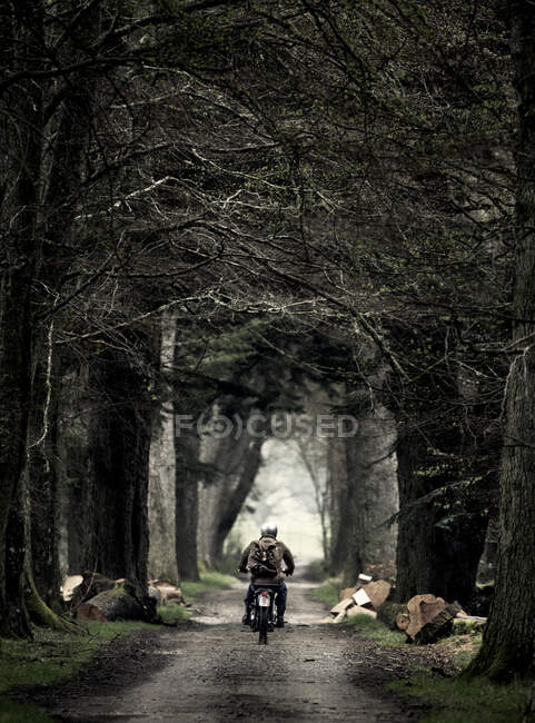Vista trasera del hombre en motocicleta conduciendo a lo largo de un camino rural arbolado. - foto de stock