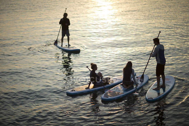 Colpo ad angolo alto di persone sui paddleboard al tramonto. — Foto stock