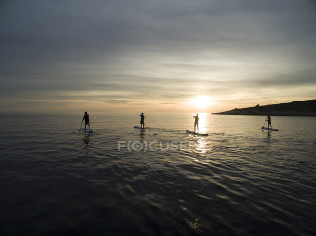 Tiro de ângulo alto de pessoas em paddleboards ao pôr do sol. — Fotografia de Stock