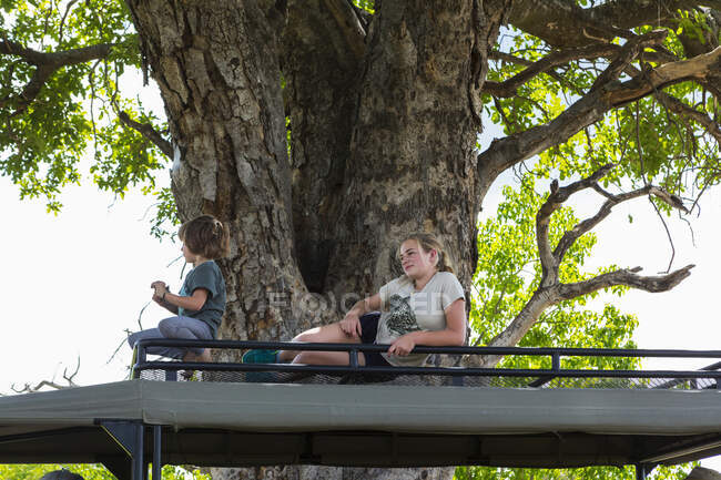 Two children resting on the observation platform of a safari vehicle in the shade of a large tree. — Stock Photo