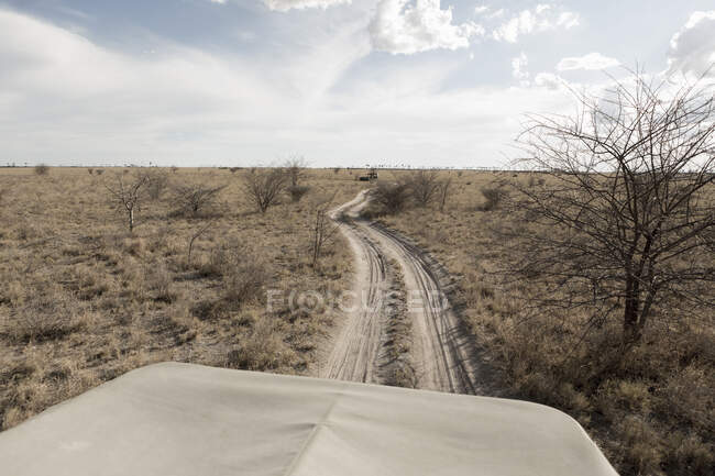 Safari vehicle on a road snaking across the landscape — Stock Photo