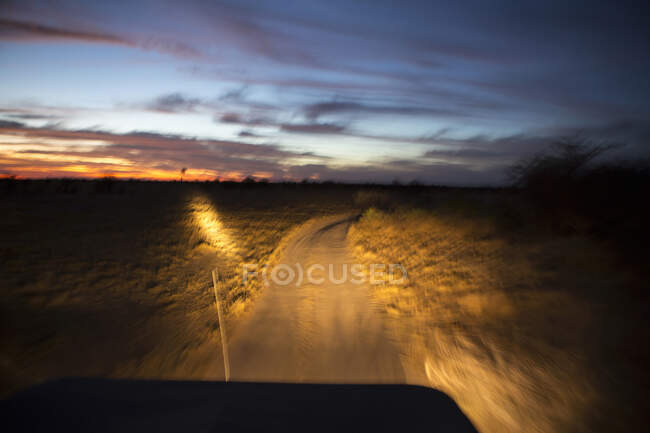 Strada davanti con i fari del veicolo nel deserto del Kalahari — Foto stock