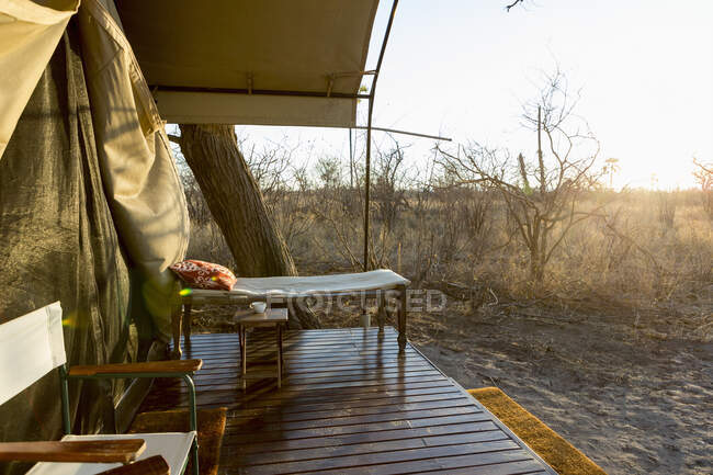 Campo de tendas no deserto de Kalahari, luz do amanhecer — Fotografia de Stock