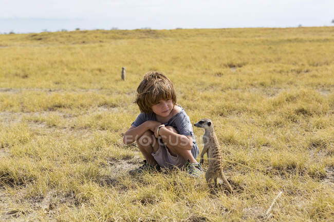Garçon de 5 ans regardant Meerkats, désert du Kalahari, casseroles de sel Makgadikgadi, Botswana — Photo de stock