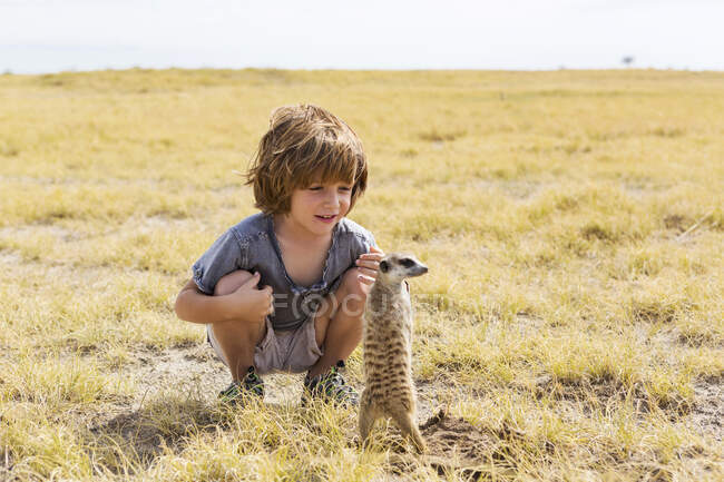 Niño de 5 años mirando Meerkat, desierto de Kalahari, sartenes Makgadikgadi, Botswana - foto de stock