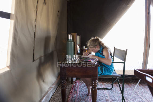 Uma menina de doze anos sentada em uma mesa em uma tenda em um acampamento de reserva de vida selvagem, desenhando. — Fotografia de Stock