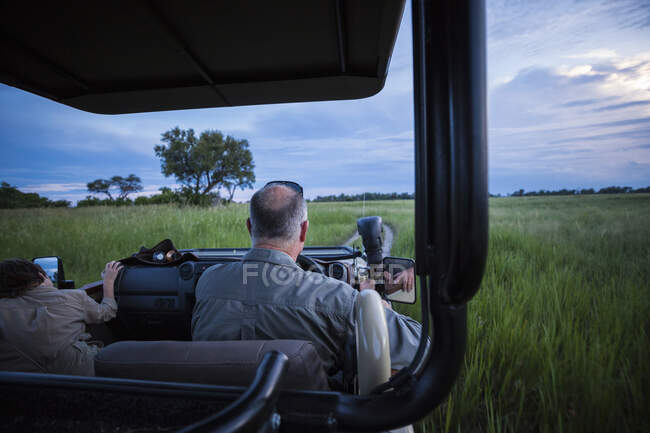 Rear view of safari guide driving safari vehicle in grass, Botwsana — Stock Photo