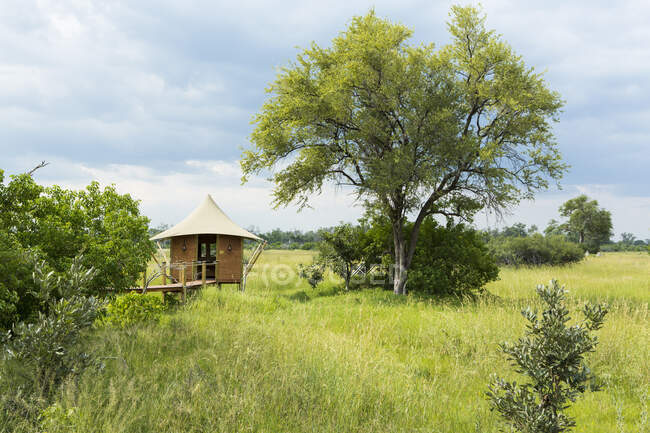 Campamento de safari, vista a través de pastizales y árboles y un pequeño pabellón y plataforma de observación sobre pilotes sobre la hierba . - foto de stock