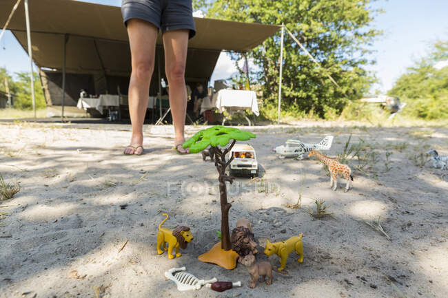 Escena de safari en la arena, coches de juguete y animales de safari en el suelo - foto de stock