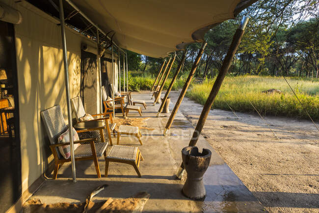 Campamento de campaña, Maun, Botswana - foto de stock